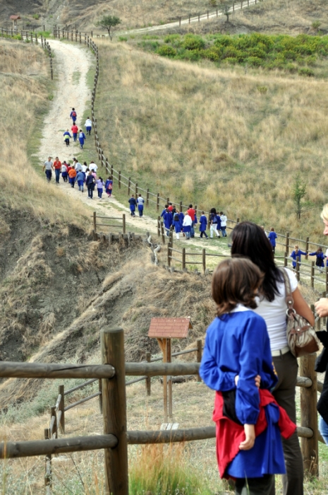 Clicca per vedere l'immagine alla massima grandezza