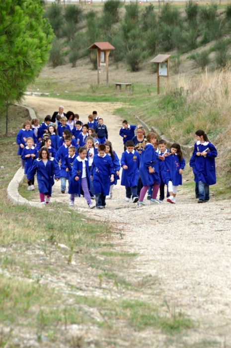 Clicca per vedere l'immagine alla massima grandezza