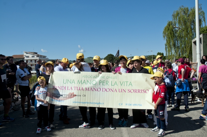 Clicca per vedere l'immagine alla massima grandezza