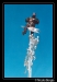 Nome del file=7~1.jpg
Dimensione del file=769KiB
Dimensioni=784x1119
Aggiunta il=16 Apr 2019 7~1.jpg