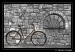 BiciclettaB_W.jpg