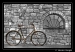 BiciclettaB_W.jpg