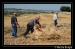 Festa_dellla_Trebbiatura_2010_Montenero_di_BisacciaD30_6344.jpg