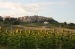 Nome del file=girasul.jpg
Dimensione del file=336KiB
Dimensioni=700x465
Aggiunta il=10 Lug 2009 girasul.jpg