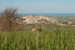 Nome del file=montenero1.jpg
Dimensione del file=151KiB
Dimensioni=700x466
Aggiunta il=08 Apr 2008 montenero1.jpg