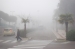 Nome del file=nebbia.jpg
Dimensione del file=176KiB
Dimensioni=700x465
Aggiunta il=17 Nov 2009 nebbia.jpg