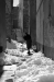 Nome del file=nonnaneve.jpg
Dimensione del file=164KiB
Dimensioni=399x600
Aggiunta il=23 Feb 2009 nonnaneve.jpg