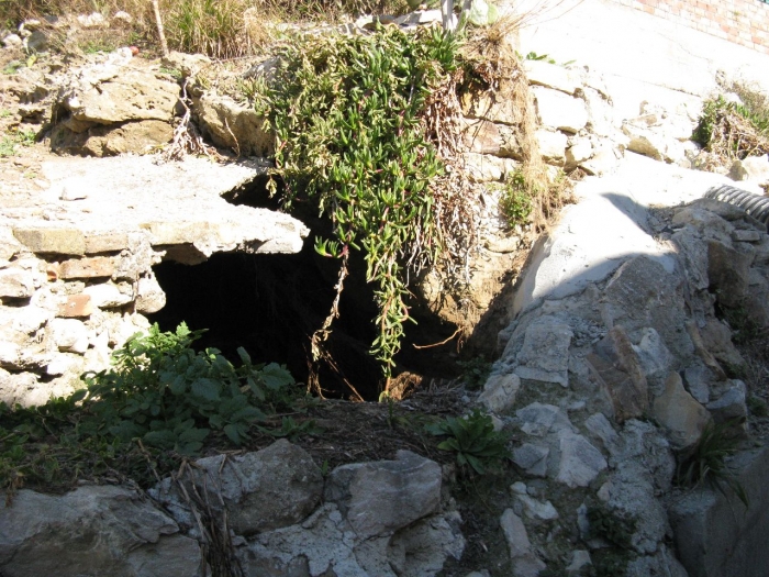 Clicca per vedere l'immagine alla massima grandezza