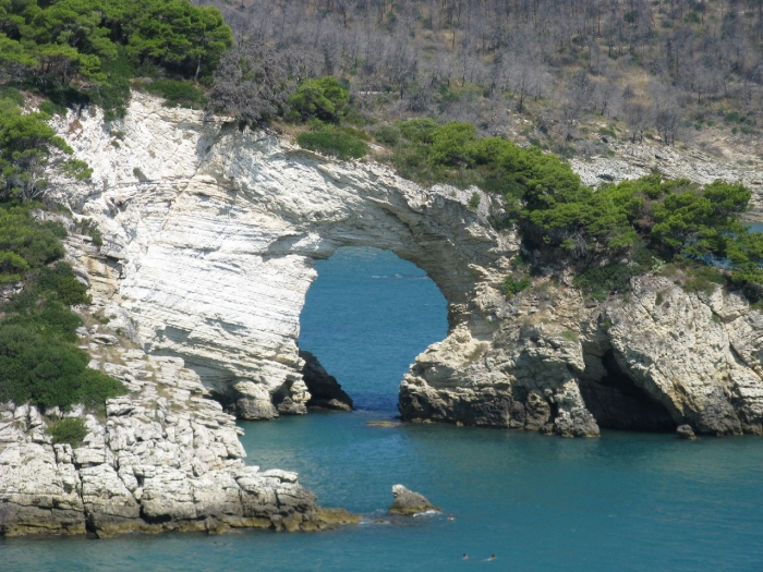 Clicca per vedere l'immagine alla massima grandezza