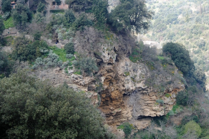 Clicca per vedere l'immagine alla massima grandezza