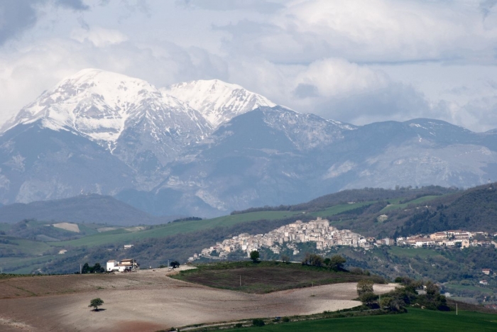 Clicca per vedere l'immagine alla massima grandezza