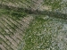 Nome del file=Immagine_027~0.jpg
Dimensione del file=141KiB
Dimensioni=640x480
Aggiunta il=14 Gen 2009 Immagine_027~0.jpg