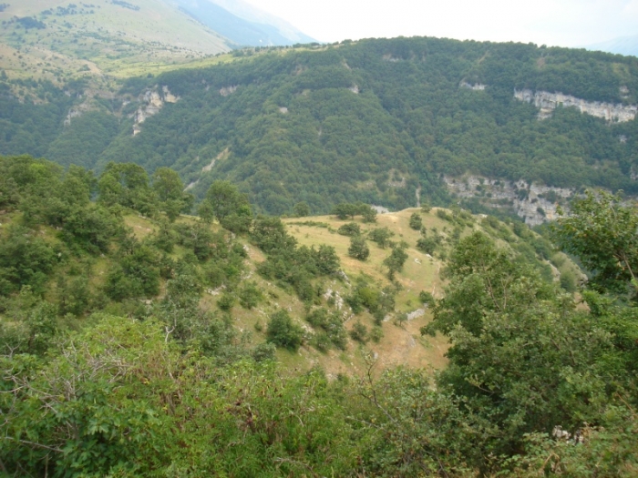 Clicca per vedere l'immagine alla massima grandezza