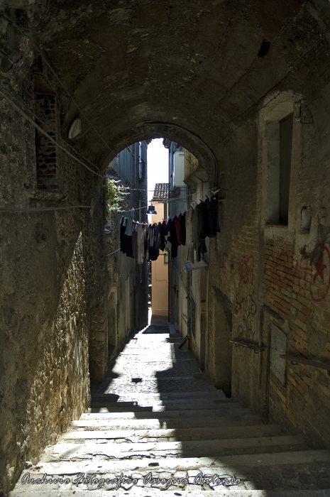 Clicca per vedere l'immagine alla massima grandezza