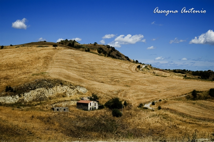 Clicca per vedere l'immagine alla massima grandezza