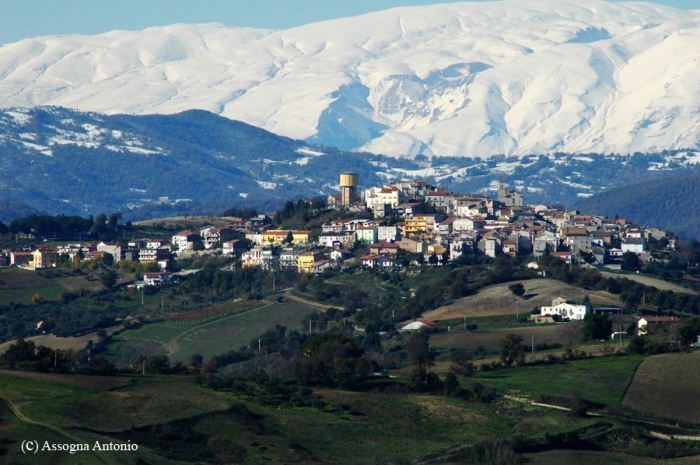 Clicca per vedere l'immagine alla massima grandezza