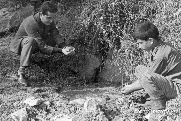 Clicca per vedere l'immagine alla massima grandezza