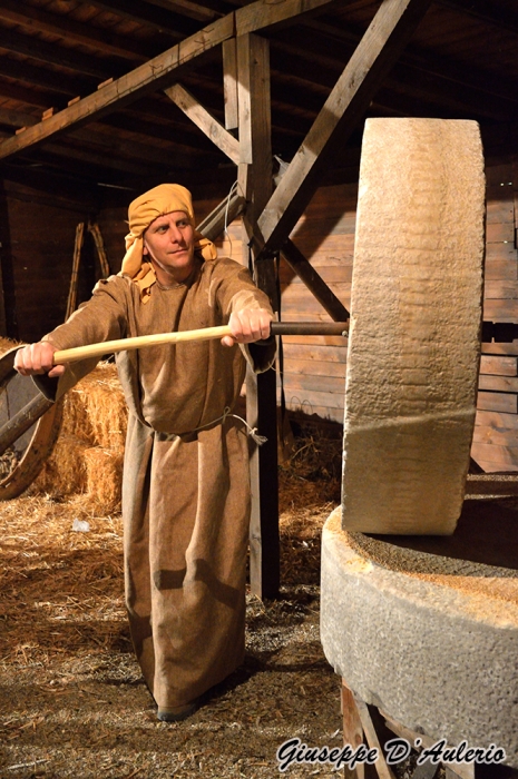 Clicca per vedere l'immagine alla massima grandezza