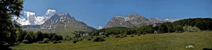 Clicca per vedere l'immagine alla massima grandezza