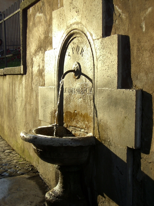 Clicca per vedere l'immagine alla massima grandezza