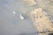 Nome del file=l__paparell.JPG
Dimensione del file=444KiB
Dimensioni=966x644
Aggiunta il=03 Giu 2009 l__paparell.JPG