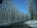capracotta_05-01-09_003.jpg