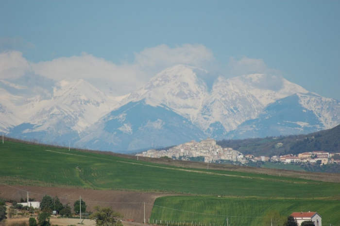 Clicca per vedere l'immagine alla massima grandezza