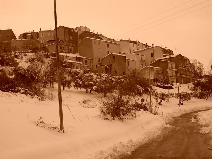 Clicca per vedere l'immagine alla massima grandezza