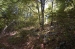 Nome del file=Bosco_a_Prato_Gentile.JPG
Dimensione del file=221KiB
Dimensioni=903x600
Aggiunta il=16 Ago 2009 Bosco_a_Prato_Gentile.JPG