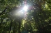 Nome del file=Bosco_a_Prato_Gentile_2.JPG
Dimensione del file=200KiB
Dimensioni=903x600
Aggiunta il=16 Ago 2009 Bosco_a_Prato_Gentile_2.JPG