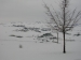 Nome del file=La_campagna_innevata.JPG
Dimensione del file=107KiB
Dimensioni=1024x768
Aggiunta il=21 Ago 2009 La_campagna_innevata.JPG