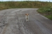 Nome del file=Solo_come_un_cane.JPG
Dimensione del file=344KiB
Dimensioni=1504x1000
Aggiunta il=04 Giu 2010 Solo_come_un_cane.JPG
