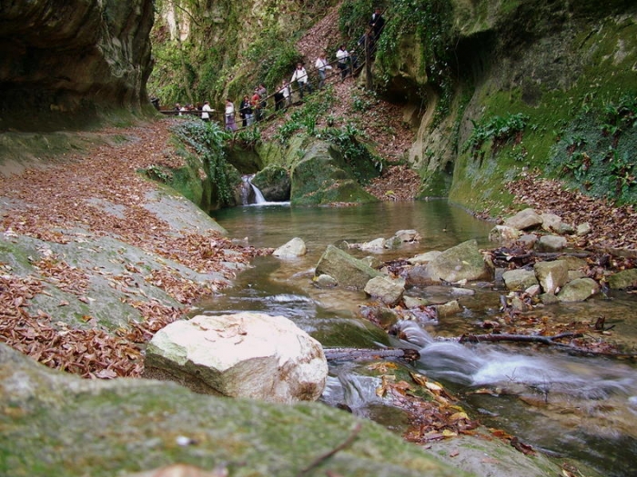 Clicca per vedere l'immagine alla massima grandezza