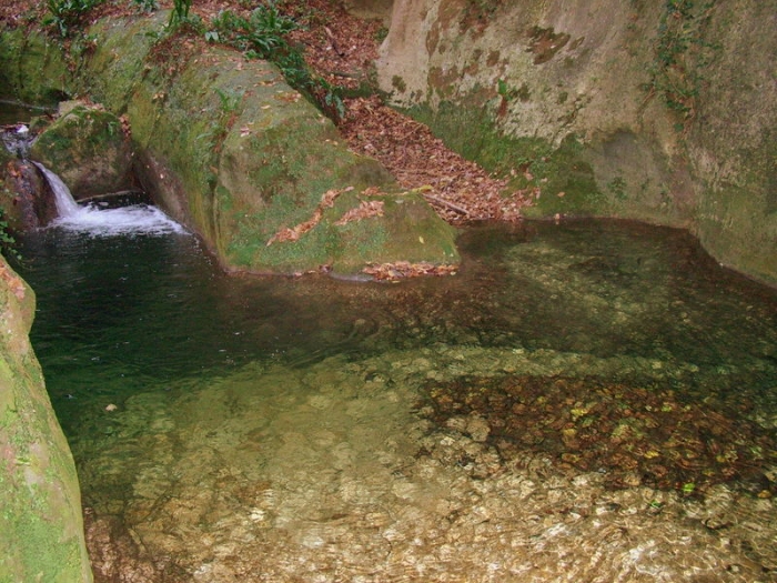 Clicca per vedere l'immagine alla massima grandezza