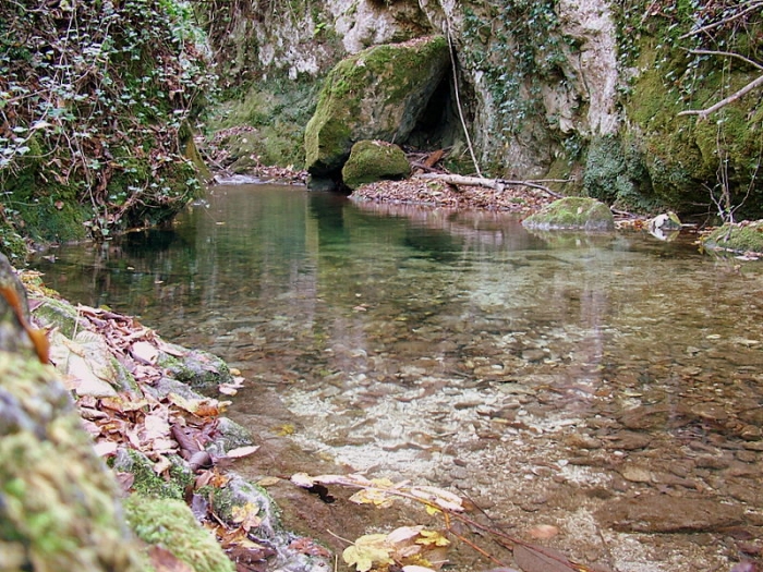 Clicca per vedere l'immagine alla massima grandezza