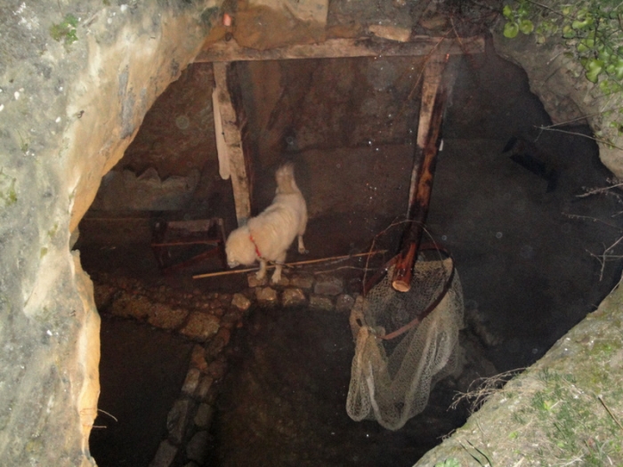 Clicca per vedere l'immagine alla massima grandezza