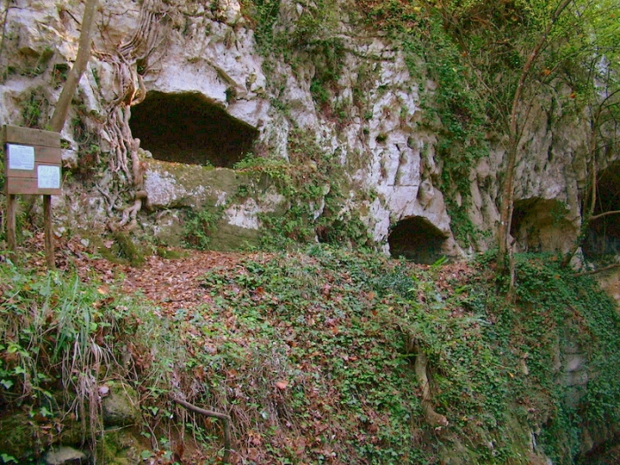 Clicca per vedere l'immagine alla massima grandezza