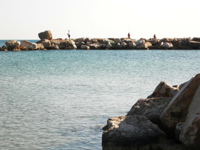 Clicca per vedere l'immagine alla massima grandezza