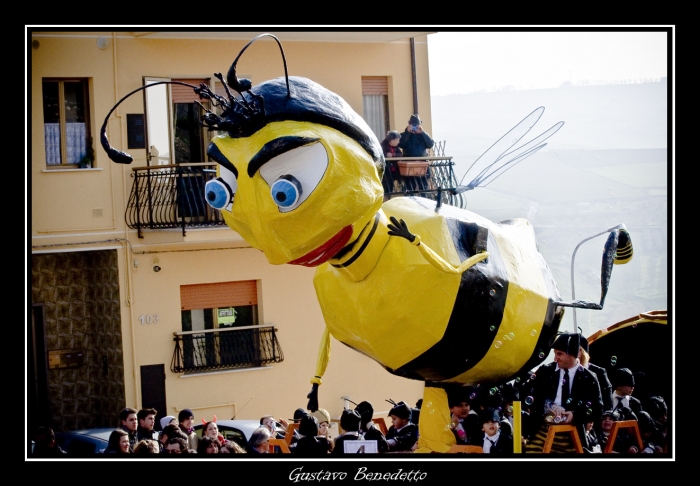Clicca per vedere l'immagine alla massima grandezza