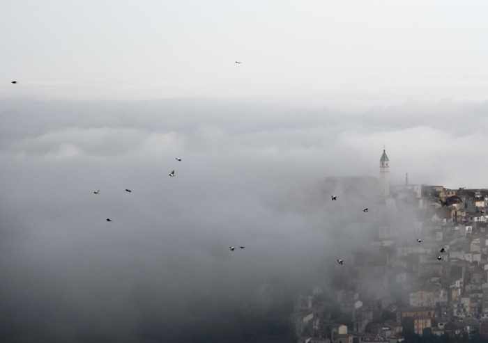 Clicca per vedere l'immagine alla massima grandezza