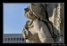 colosseo_quadrato_statua.jpg