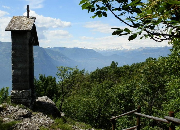 Clicca per vedere l'immagine alla massima grandezza