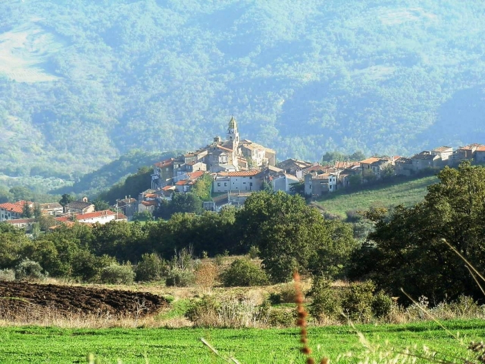 Clicca per vedere l'immagine alla massima grandezza