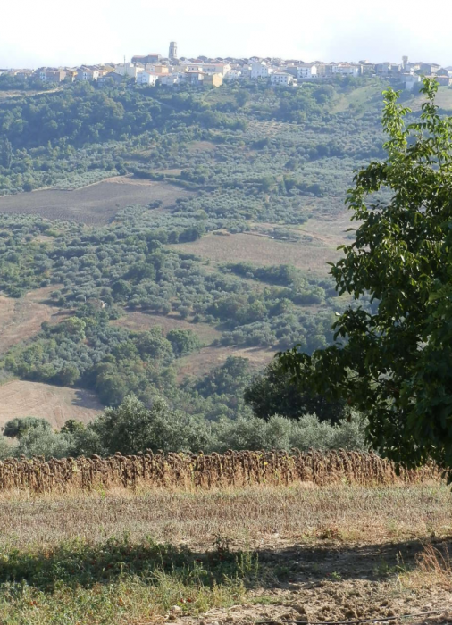 Clicca per vedere l'immagine alla massima grandezza