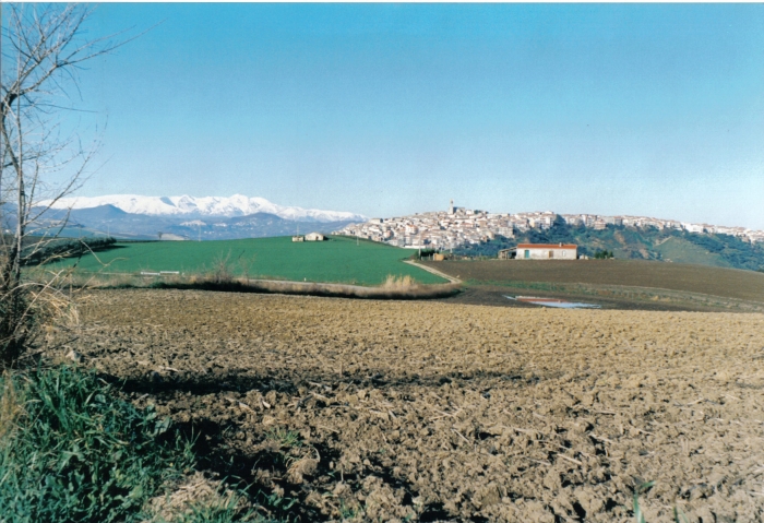 Clicca per vedere l'immagine alla massima grandezza