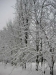 PICT0012.JPG