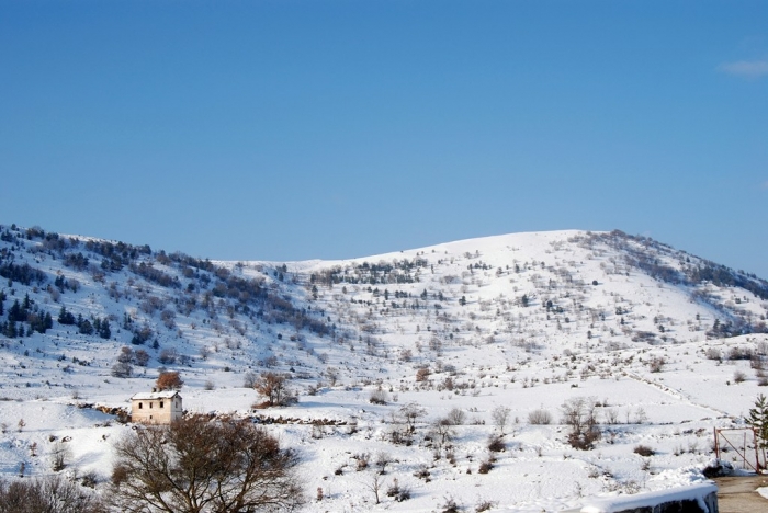 Clicca per vedere l'immagine alla massima grandezza