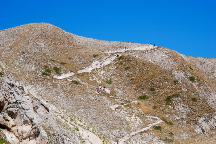 Clicca per vedere l'immagine alla massima grandezza