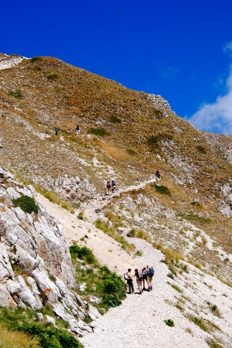 Clicca per vedere l'immagine alla massima grandezza