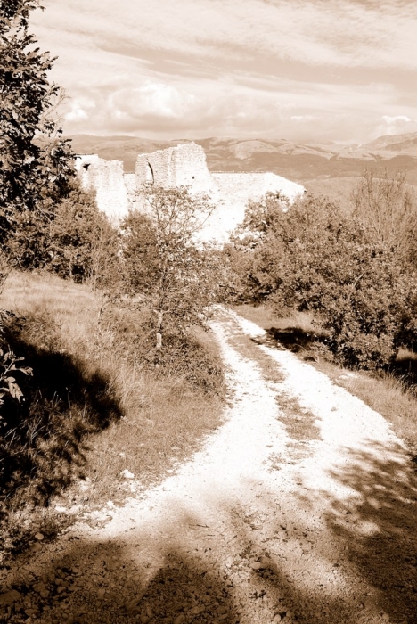 Clicca per vedere l'immagine alla massima grandezza